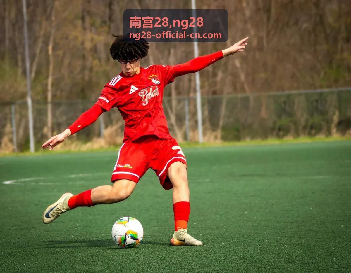 南宫28 ng28内容结构规划背景